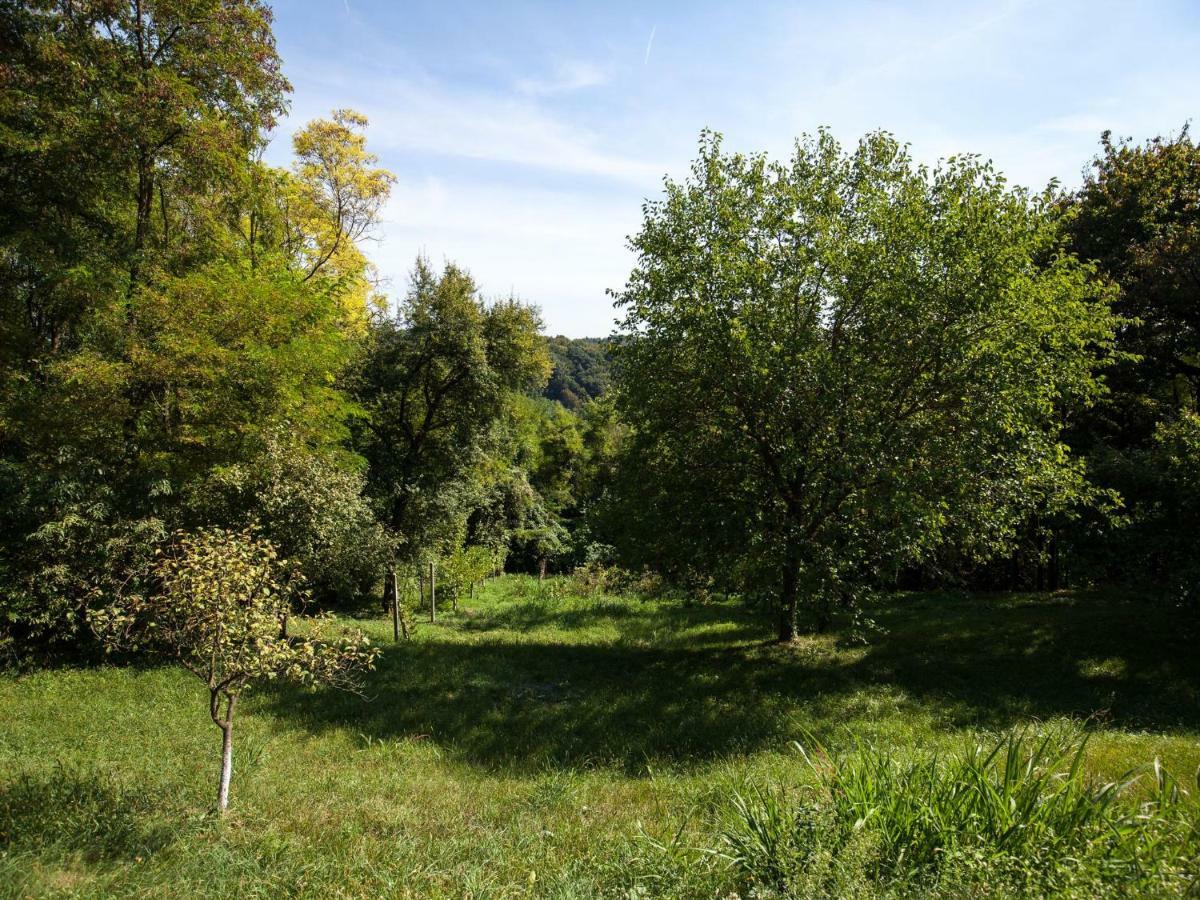 Kurija Inn Hrašćina Εξωτερικό φωτογραφία