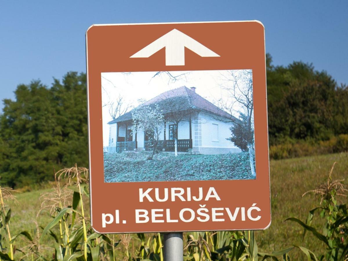 Kurija Inn Hrašćina Εξωτερικό φωτογραφία